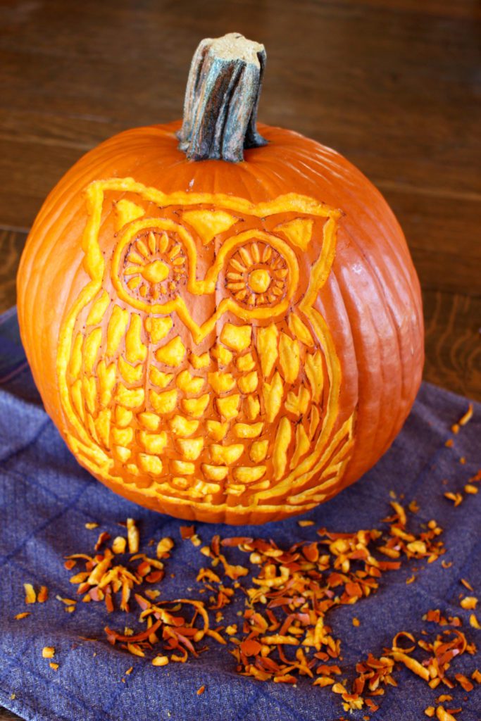 Woodland Owl Pumpkin Carving Deluxe - Welcome To Nana's
