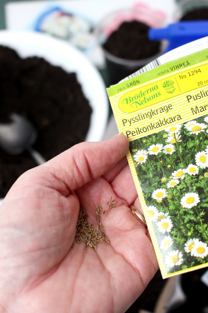 Planting Spring Flower Seeds | Welcome To Nana's