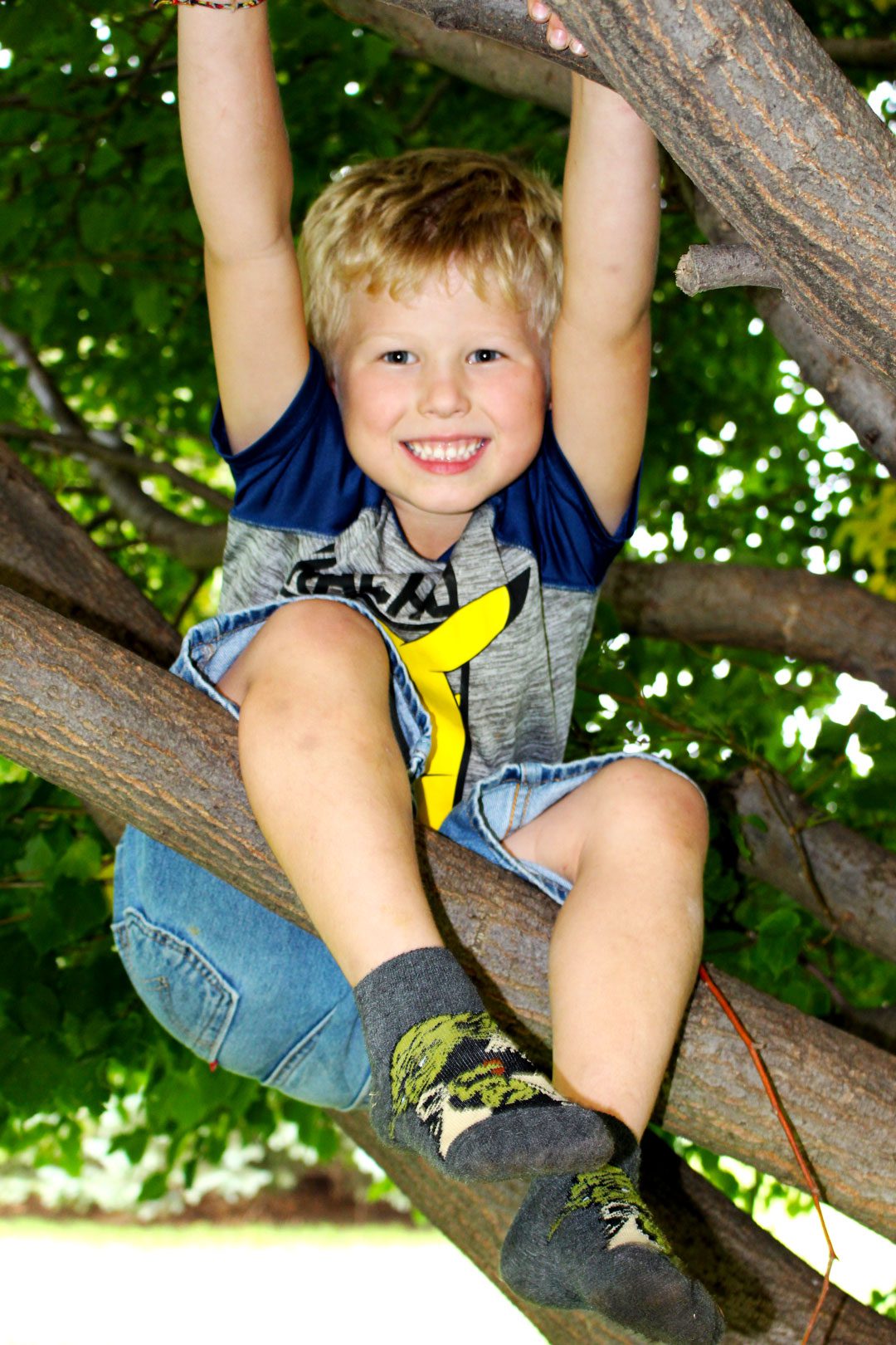 A smiling boy with blonde hair climbing a tree.