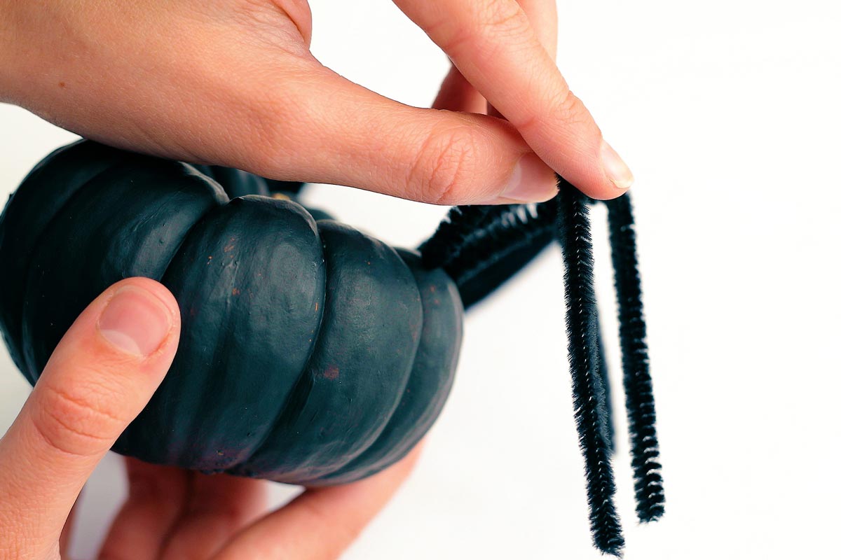 Adding black pipe cleaners to a mini pumpkin painted black to create spider legs.