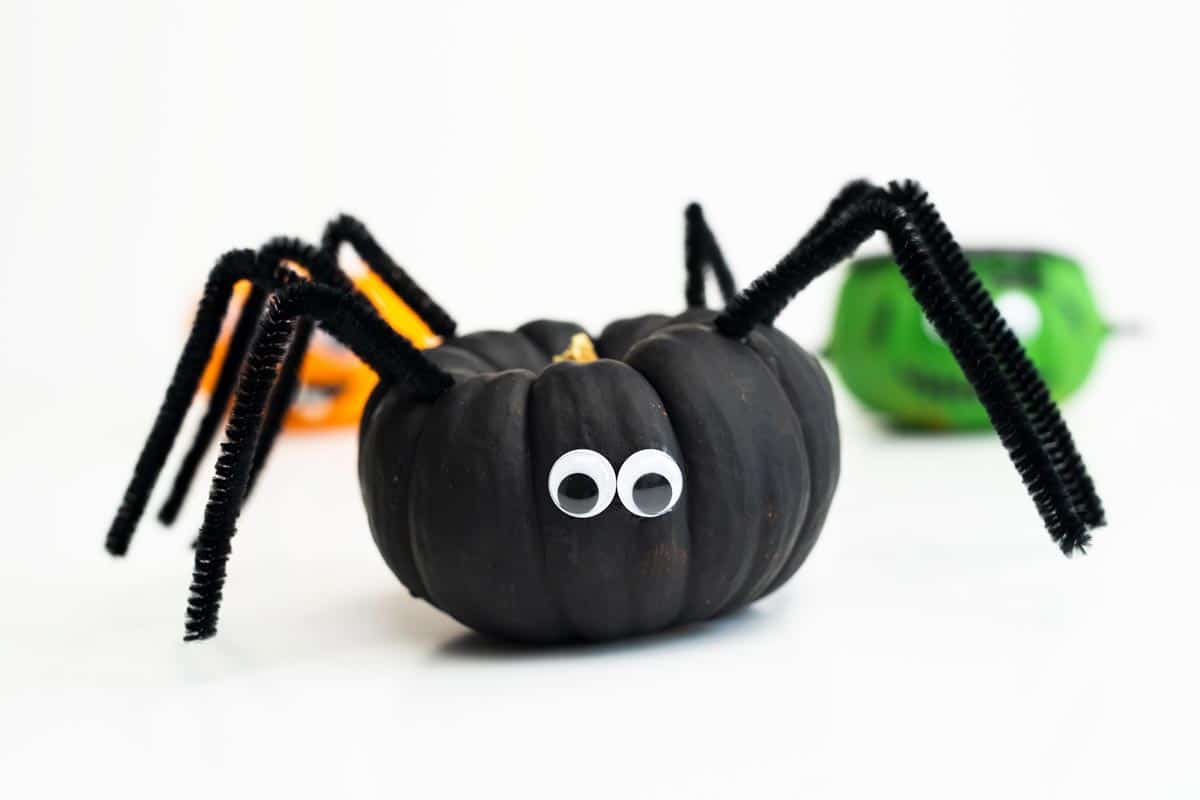 Frankenstein mini pumpkin, silly face pumpkin, spider pumpkin.