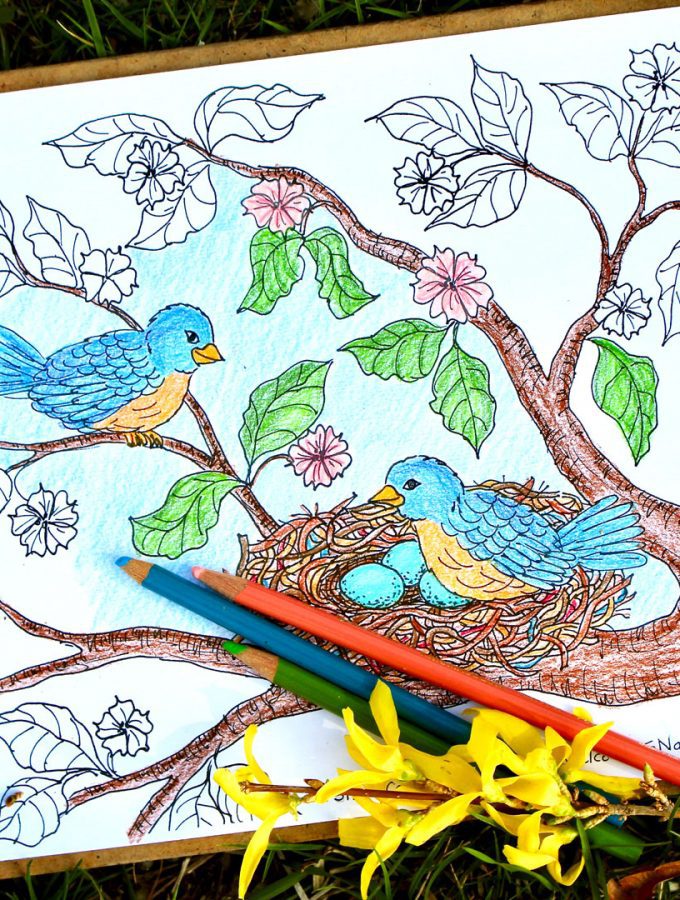 Activities Archives - Page 6 of 15 - Welcome To Nana's