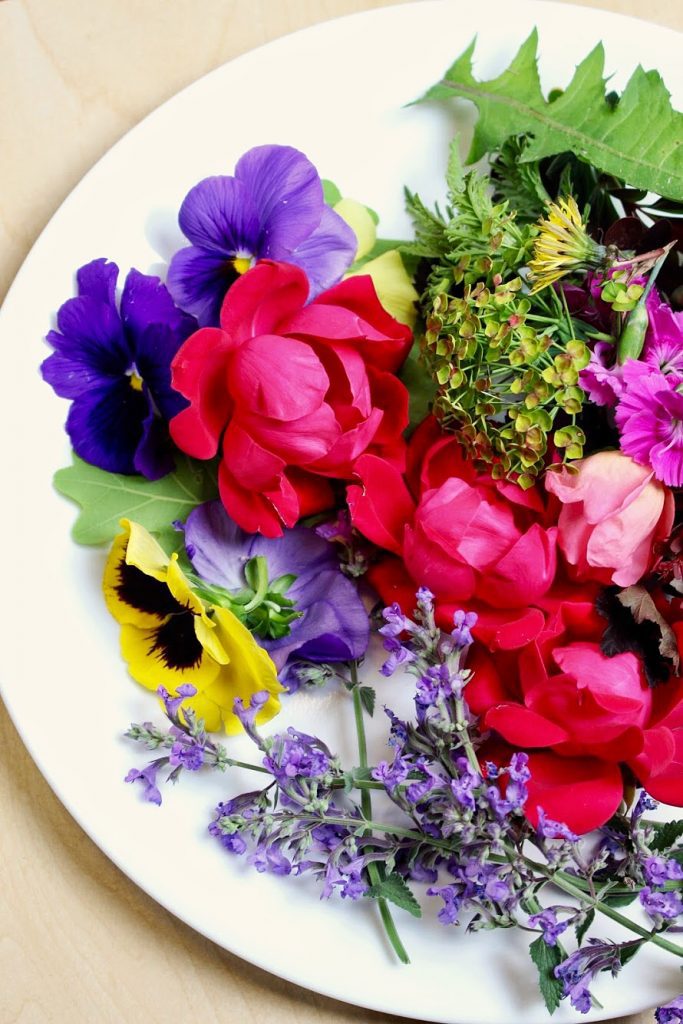 A plate of pink, purple, yellow, and green flowers.