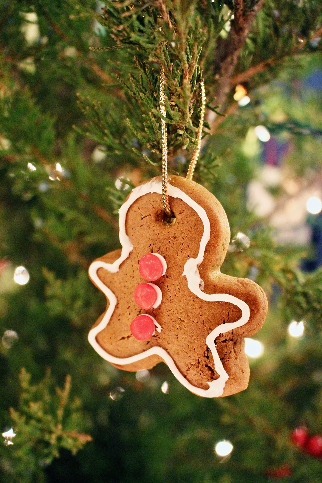 A gingerbread man cookie ornament hanging on a Christmas tree, decorated with white icing and red hot candies for buttons. 