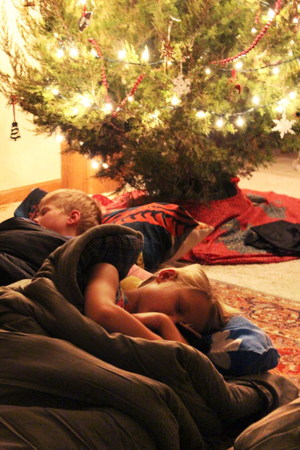 Sleeping Under the Christmas Tree To Nana's