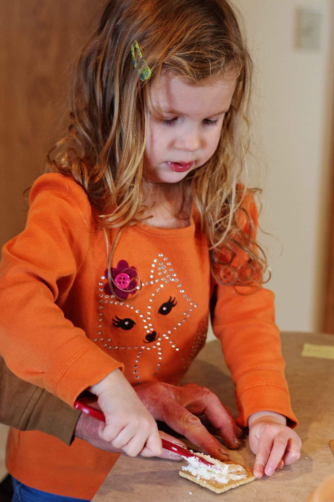 Simple Graham Cracker and Frosting Sandwich Cookies To Nana's