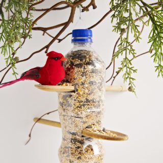 How to Make a Bird-feeder From Water-bottles! (tutorial/instructions)