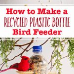 Pinterest image for a recycled plastic bottle bird feeder filled with bird seed hanging from branches, and a red bird.