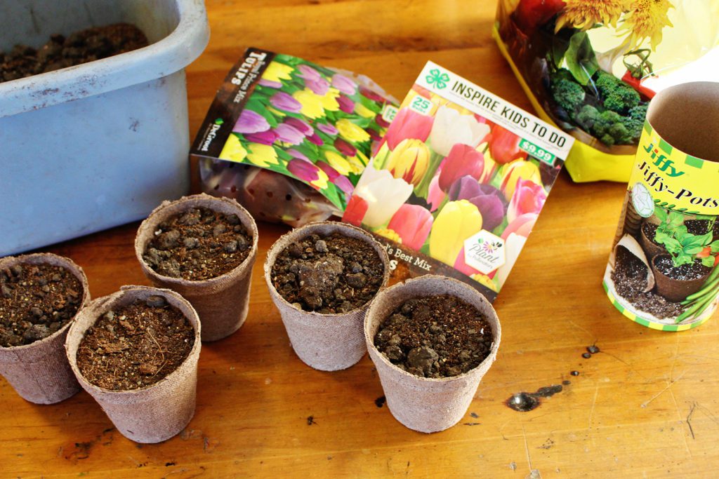 Plantable flower pots with starting soil and bags of flower bulbs.
