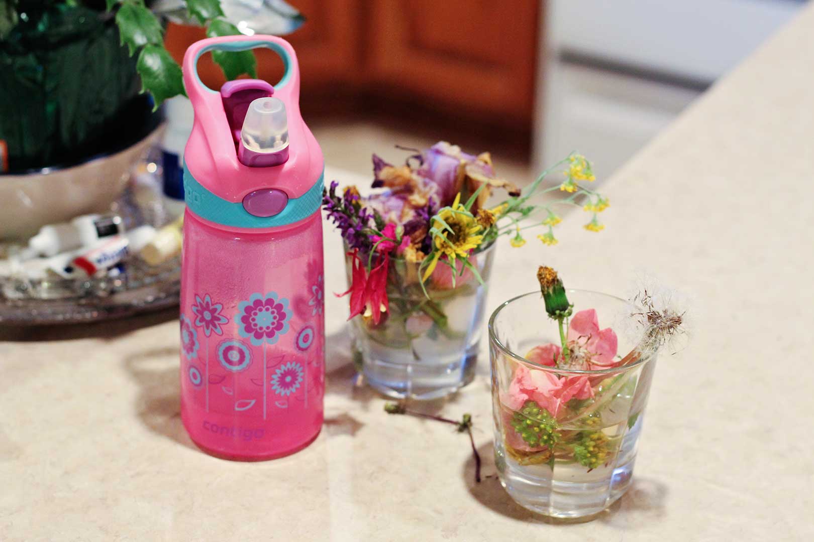 A child's pink water bottle and glass jars of flowers sitting on a countertop.