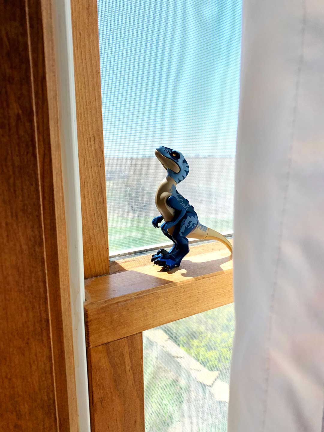 A toy dinosaur sitting on the windowsill in the sunshine.