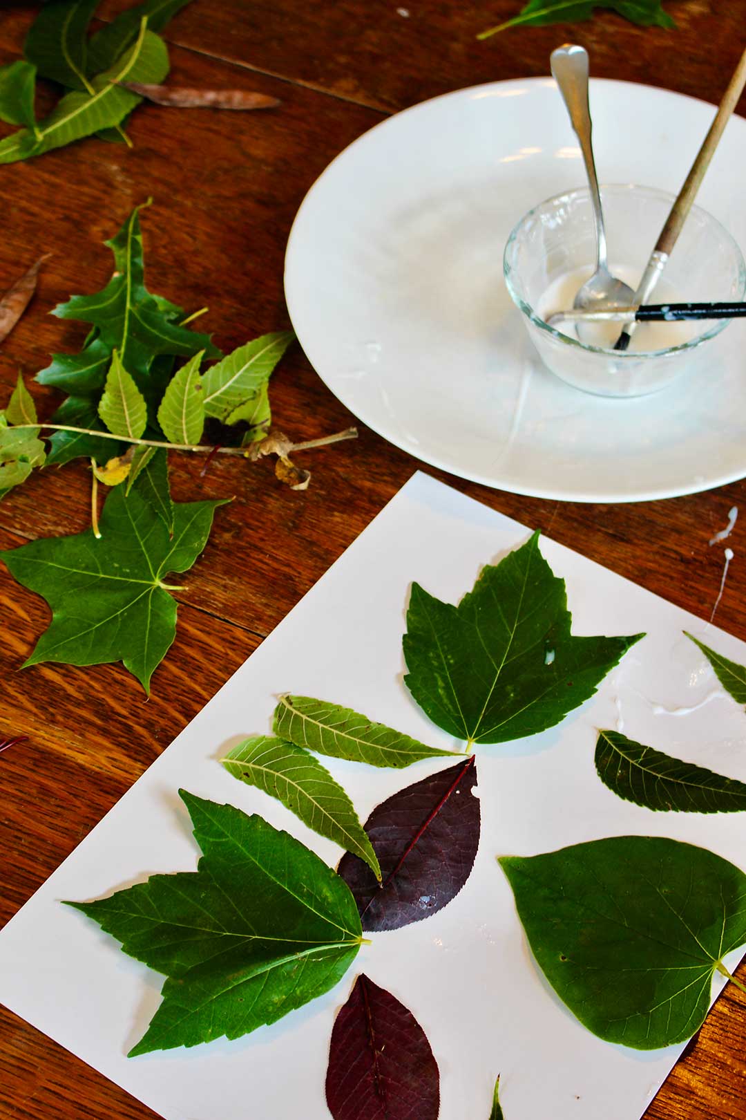 Collage of different green leaves with white plate and bowl of paste on a table nearby.