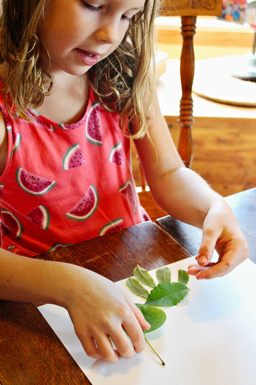Girl wearing red dress with watermelons starts putting together her leaf collage on white paper.