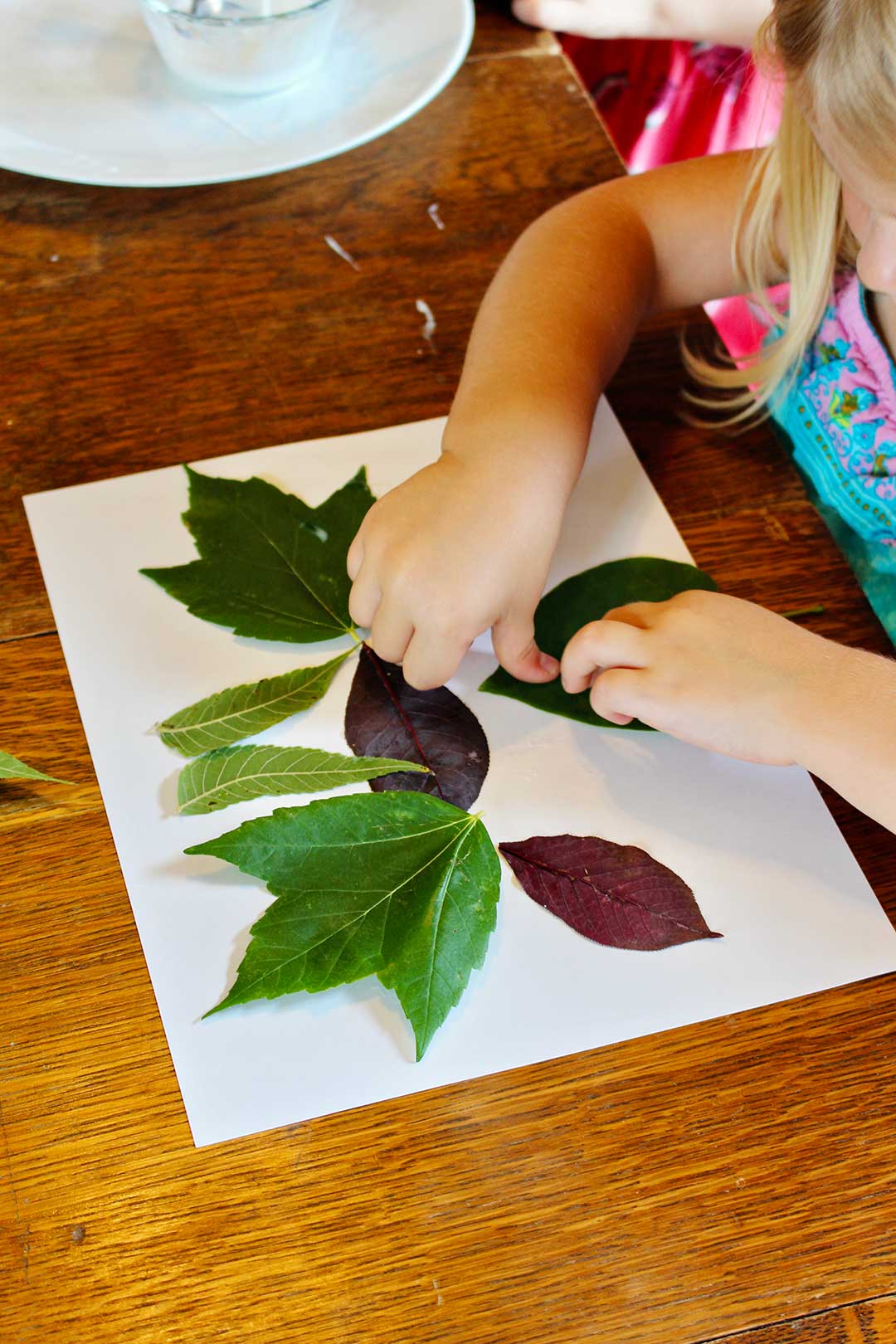 Girl pressing down leaf onto paper for her leaf collage.