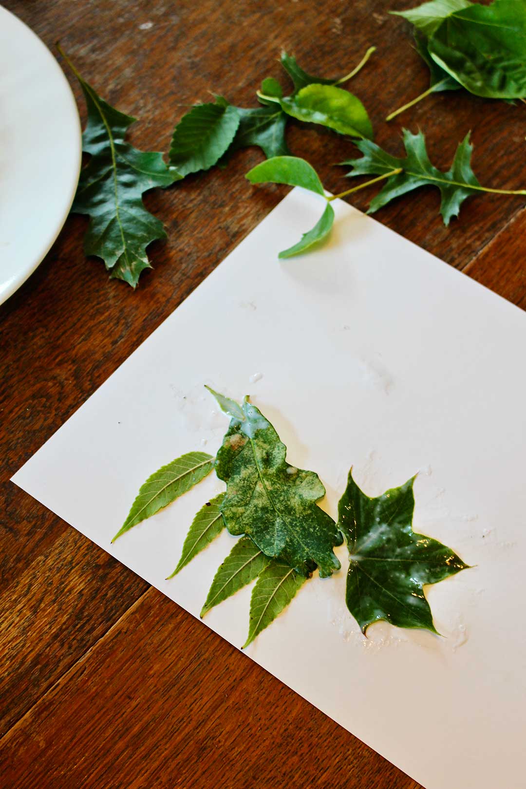 Leaf collage on white paper on wooden table next to green leaves of various shapes.