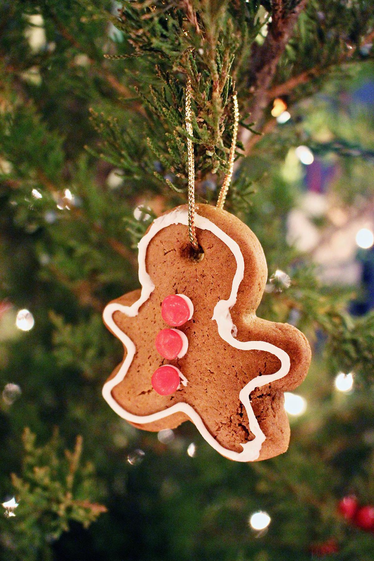 A gingerbread ornament decorated with red hots and white icing, hanging on the branch of a Christmas tree.