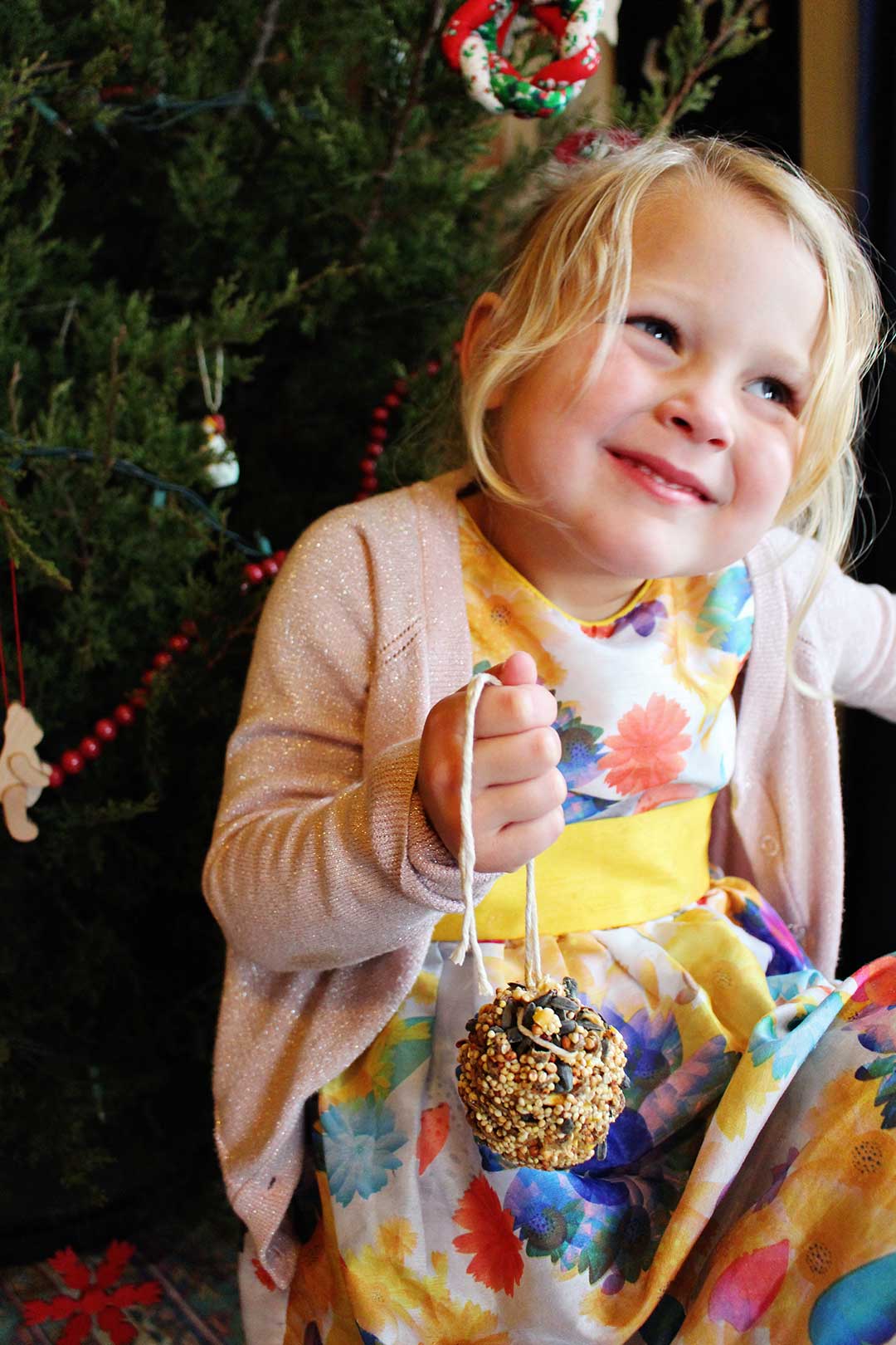 Young blonde girl in floral dress smiling near Christmas tree holding finished pine cone bird feeder.