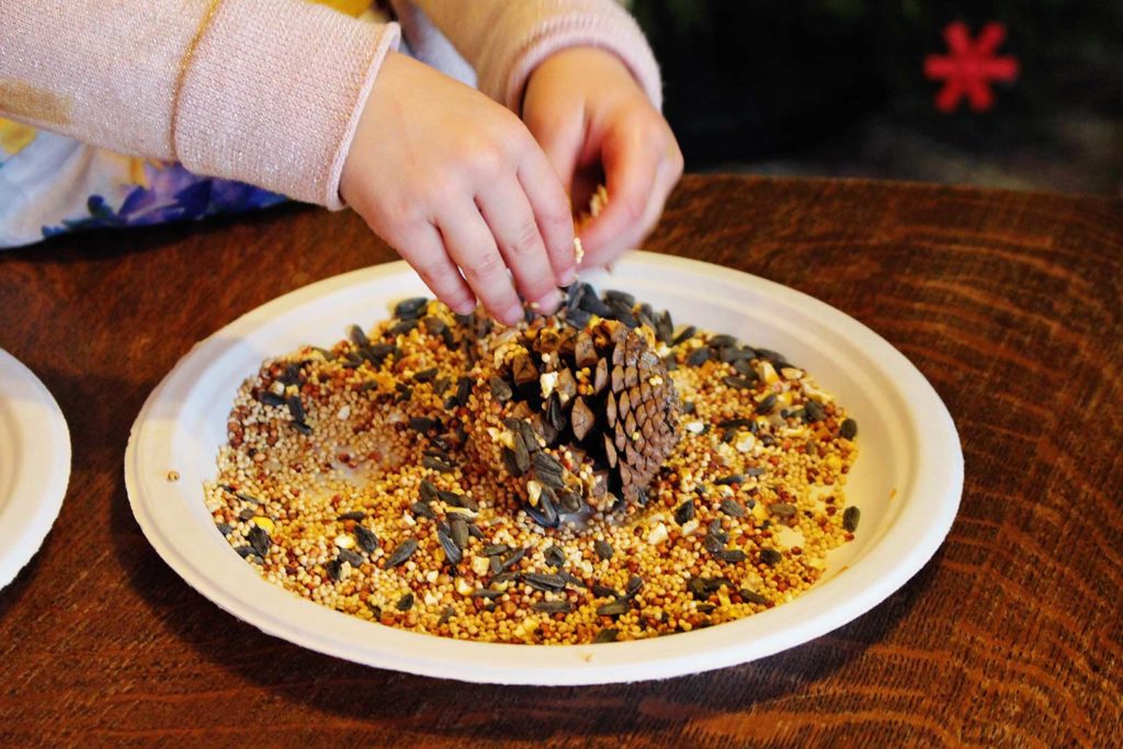 Small child's hands sprinkle bird seed on to pinecone resting on paper plate.