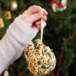 Little hand holding finished pine cone bird feeder in front of Christmas tree