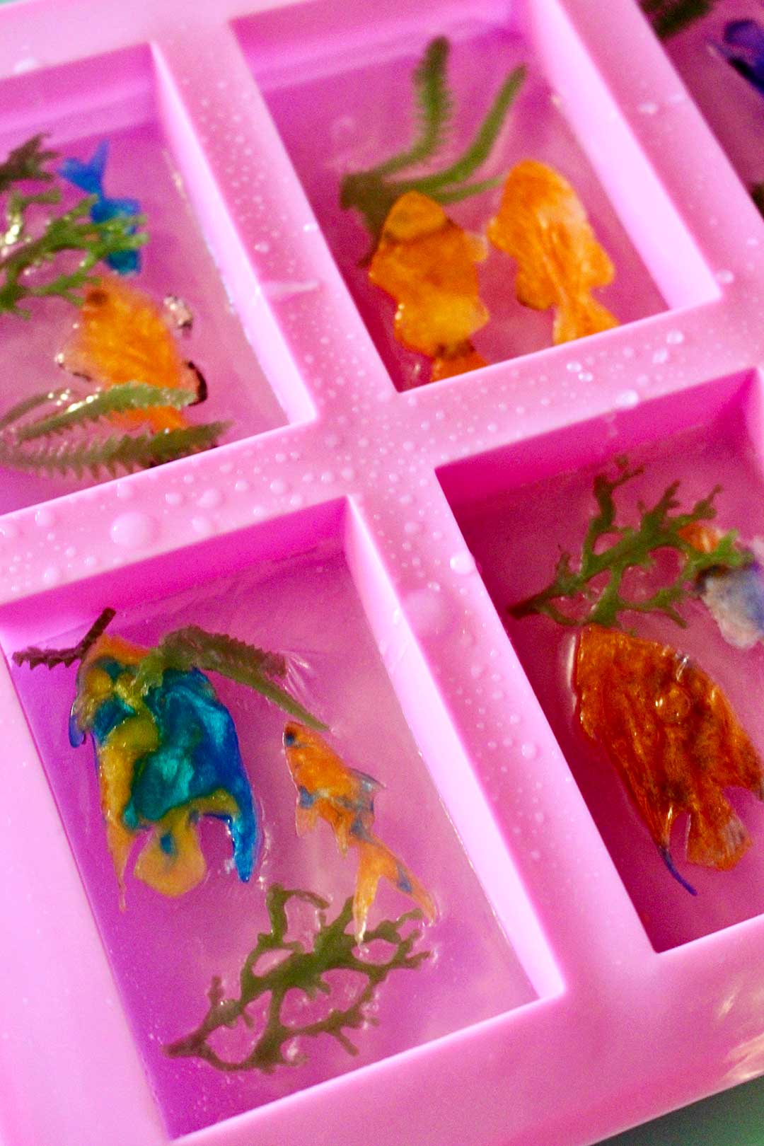Close up view of clear soap layer and tropical fish in soap mold.
