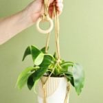 Hand holding up completed macrame plant hanger with plant resting in it against a sage background.