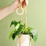 Hand holding up completed macrame plant hanger with plant resting in it against a sage background.