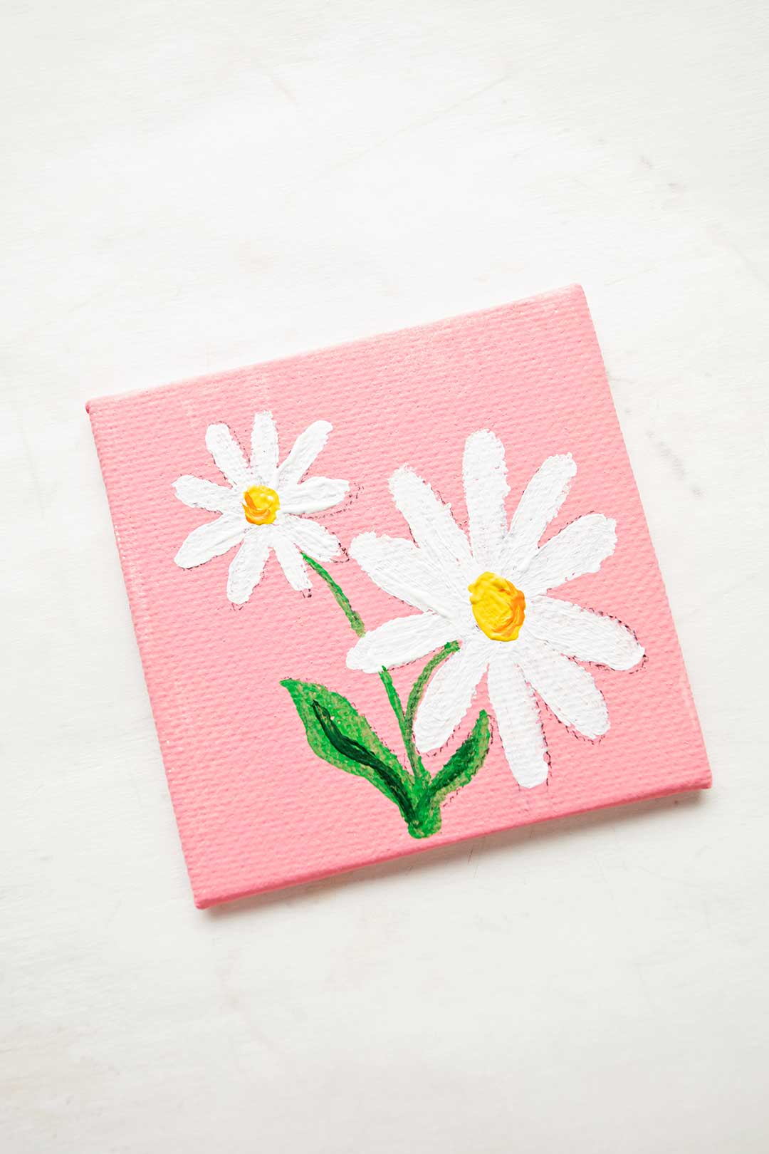 Finished mini canvas painting of two white daisies on a pink background.