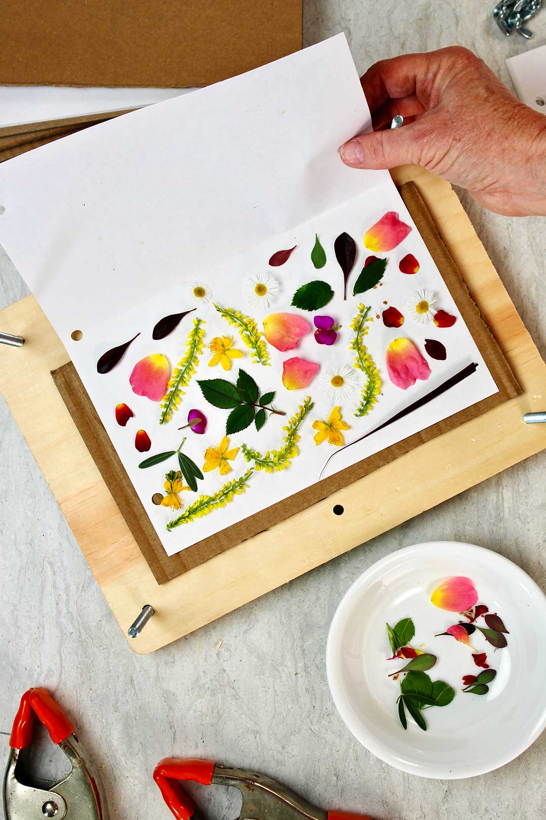 Hand holding pressed colorful flowers and leaves on white piece of paper rests inside rectangular wood block.