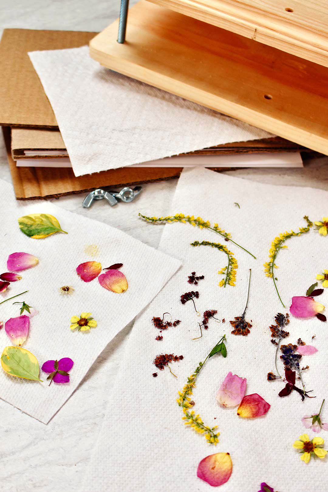 Pressed flowers rest on paper towels to dry.