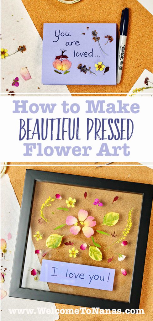 Double Glass Frame for Pressed Flowers - w/Real Dried Flowers and Tweezer - Pressed  Flower Frames for Handicrafts Pressed Flower Photo or Other Small Flat Items