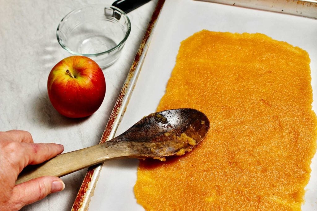 How to Make Fruit Leather To Nana's