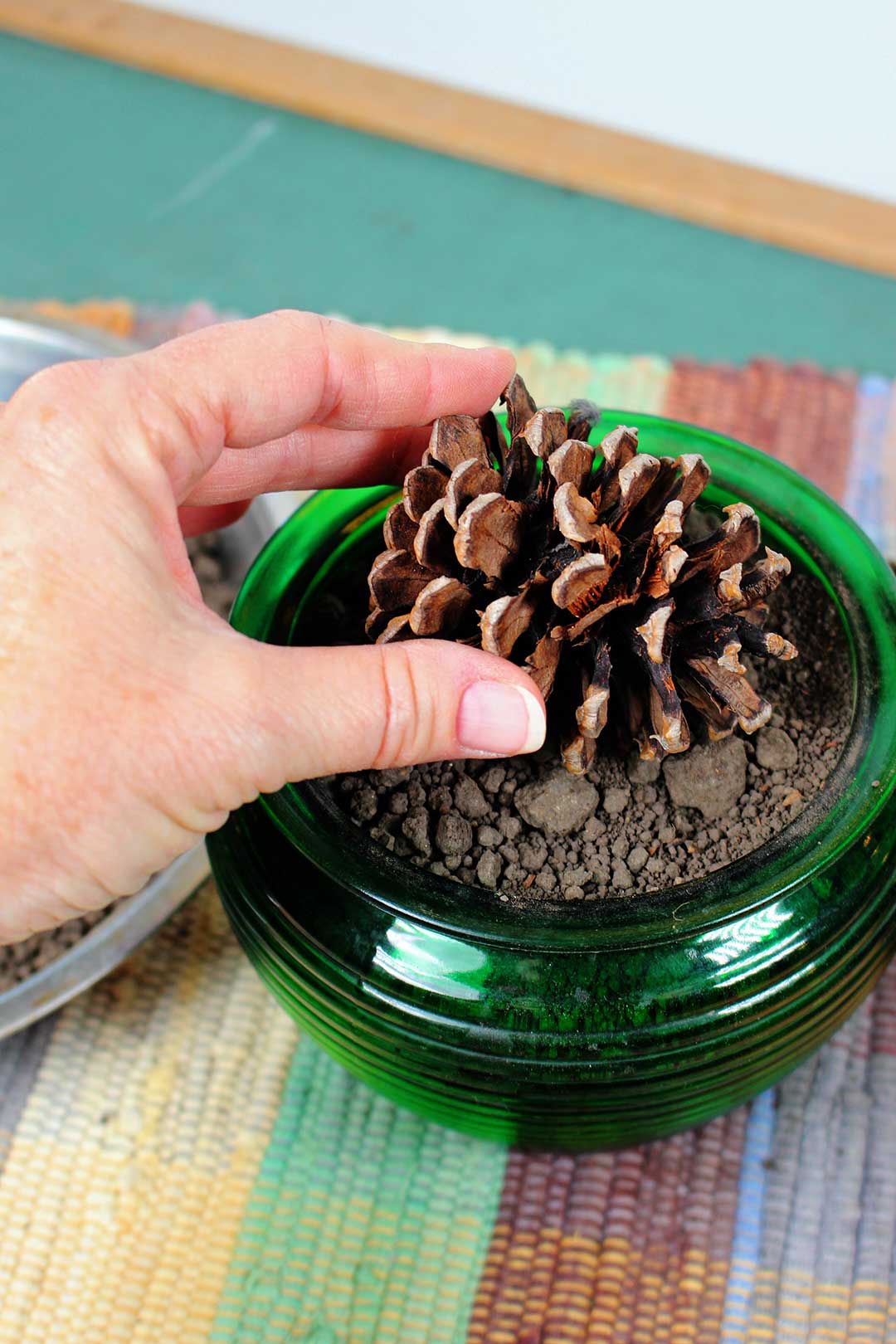 Hand placing pinecone on dirt in green glass pot.
