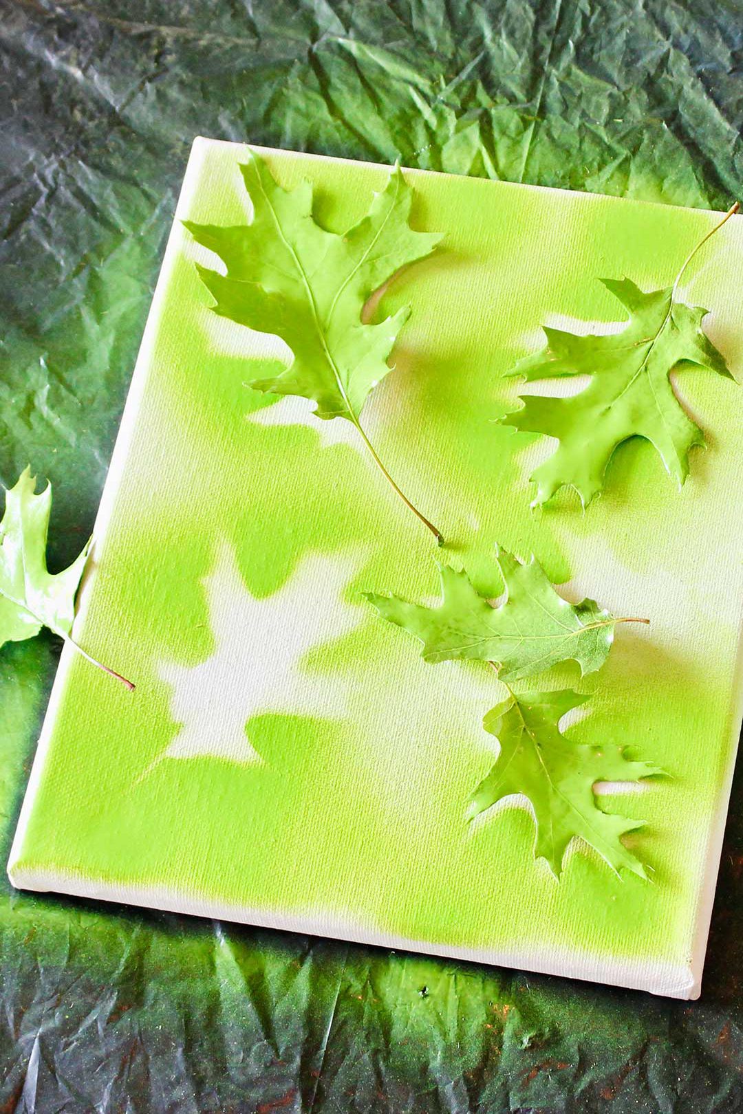 Oak leaves on a white canvas laying on a trash bag painted neon green.