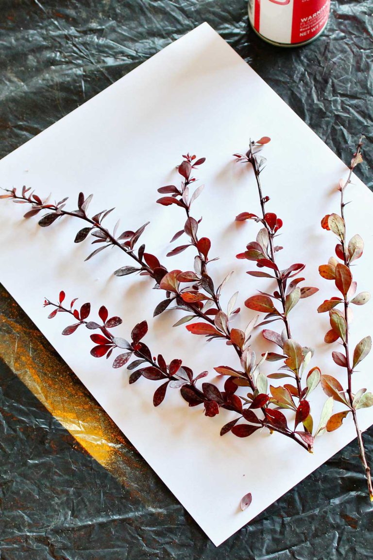 DIY Botanical Wall Art with Spray Paint To Nana's