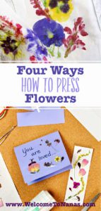 How to Press Flowers (4 Ways!) - Welcome To Nana's