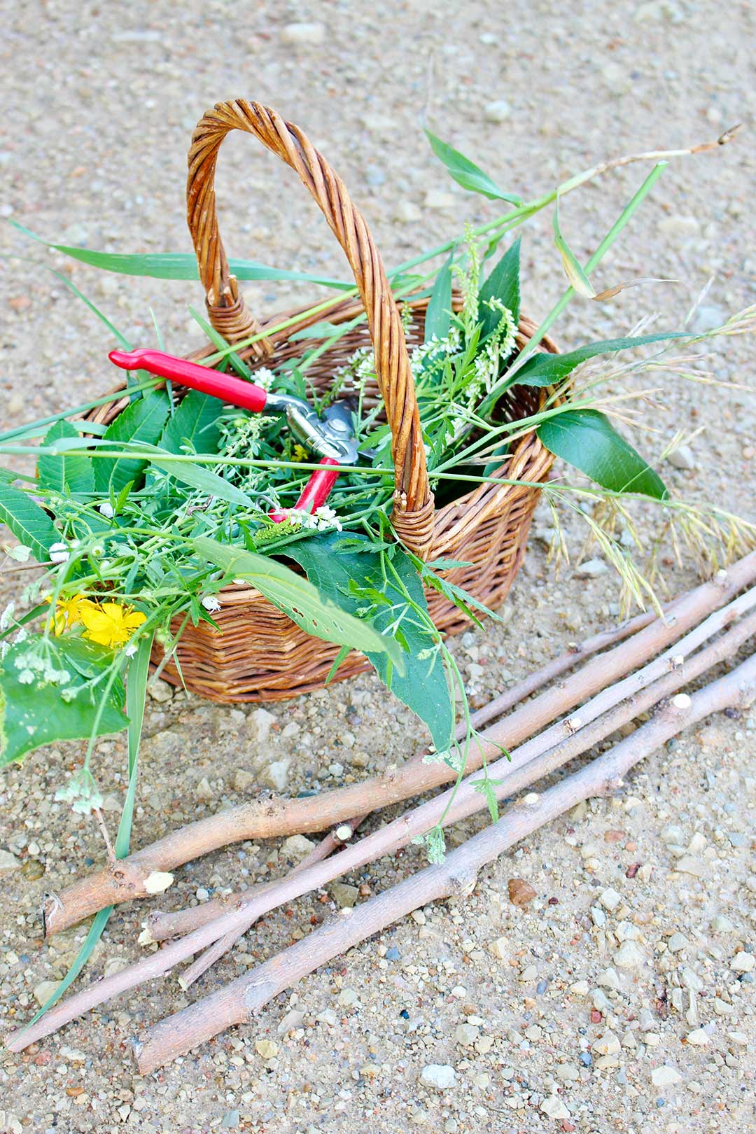 Basket of wild nature clippings and a pile of sticks resting on a gravel ground.