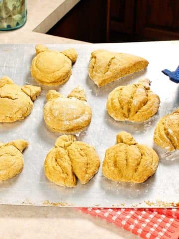 Hand bringing in tray of freshly baked pumpkin scones with a blue pot holder.
