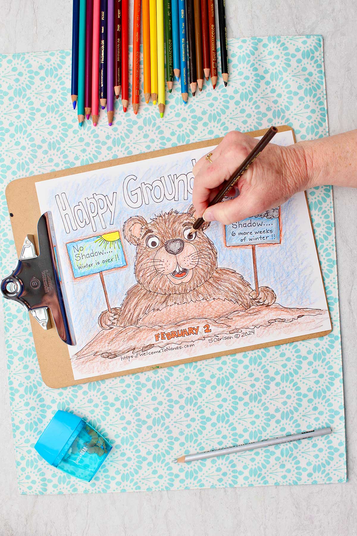 Hand coloring the eyes of the groundhog brown with colored pencils and a pencil sharpener near by.