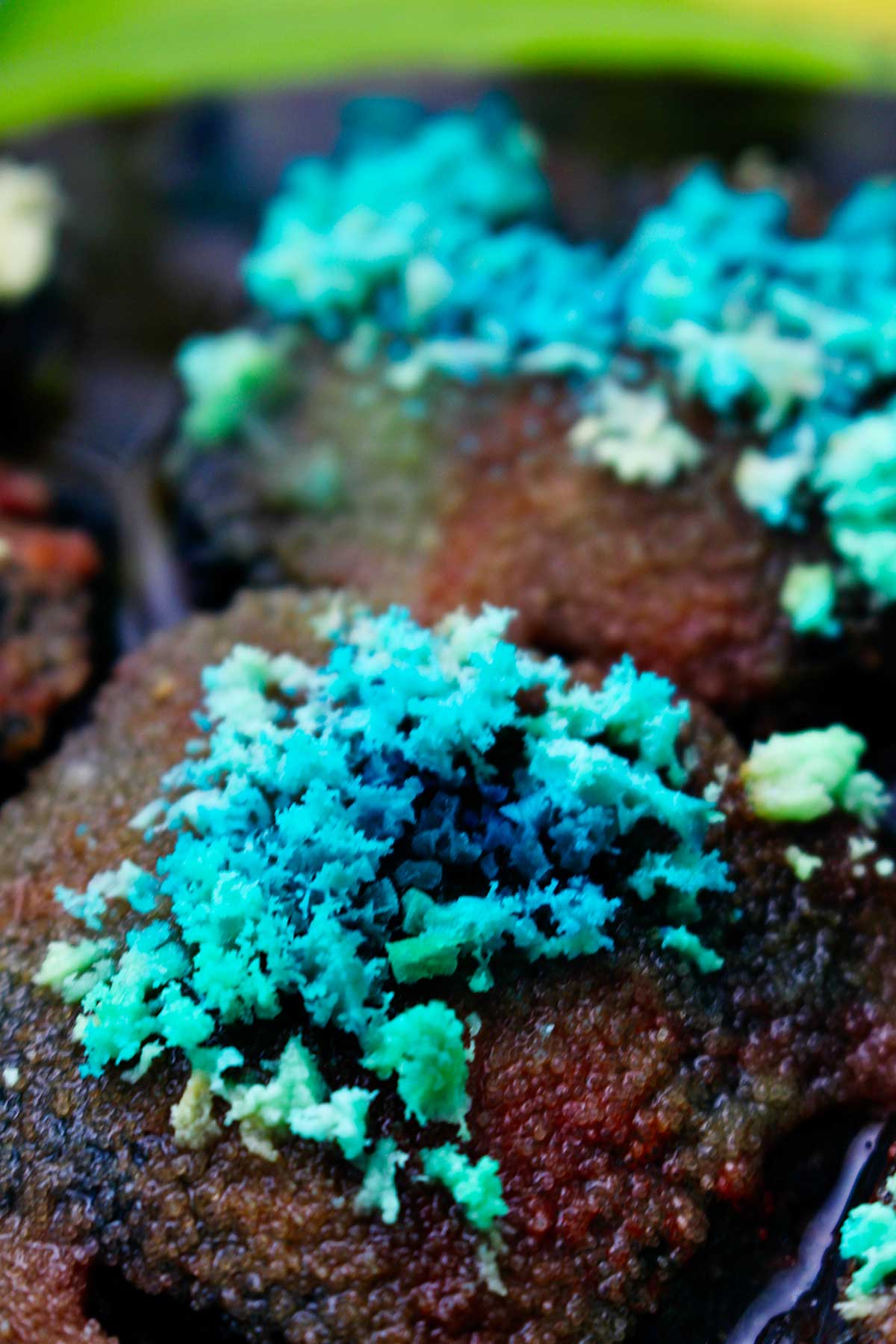 Close of of teal and blue colored crystals growing.