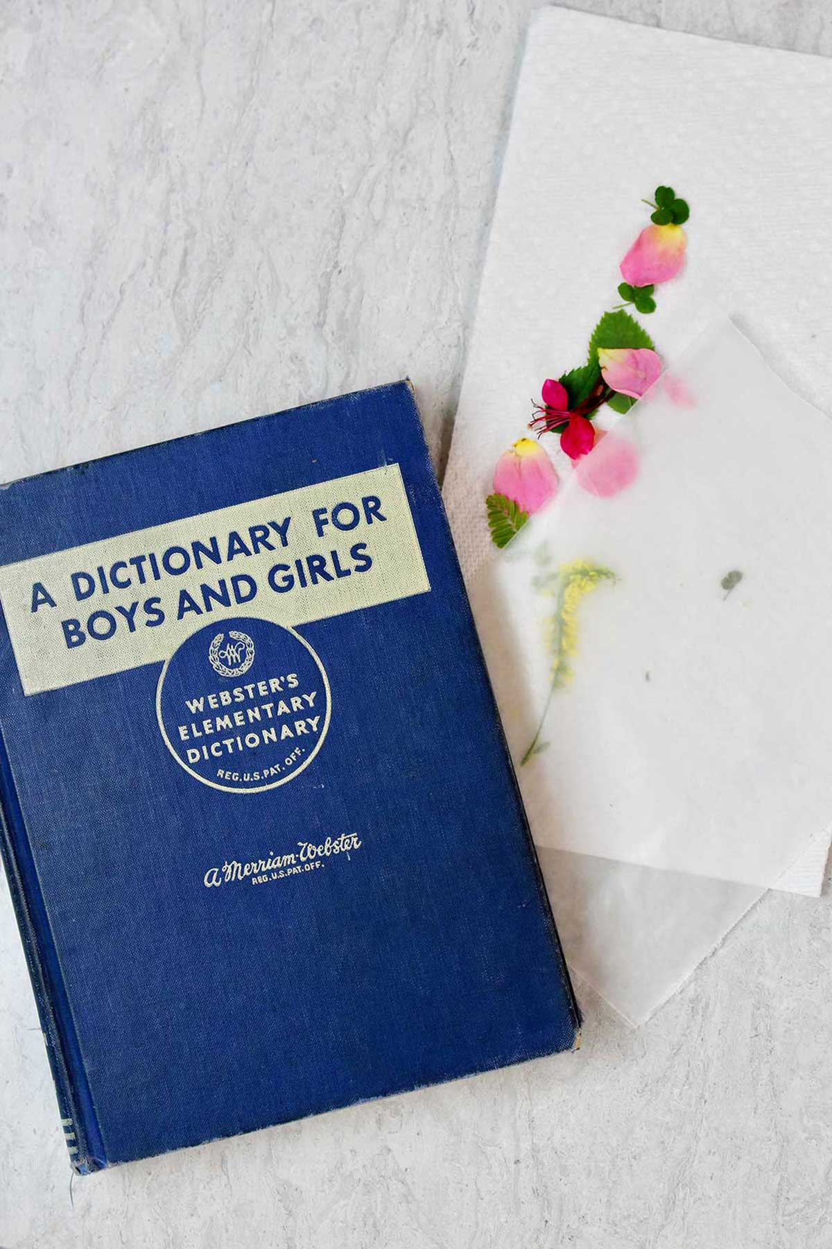 A Blue dictionary sits near a piece of wax paper, a paper towel and some flower petals and leaves.
