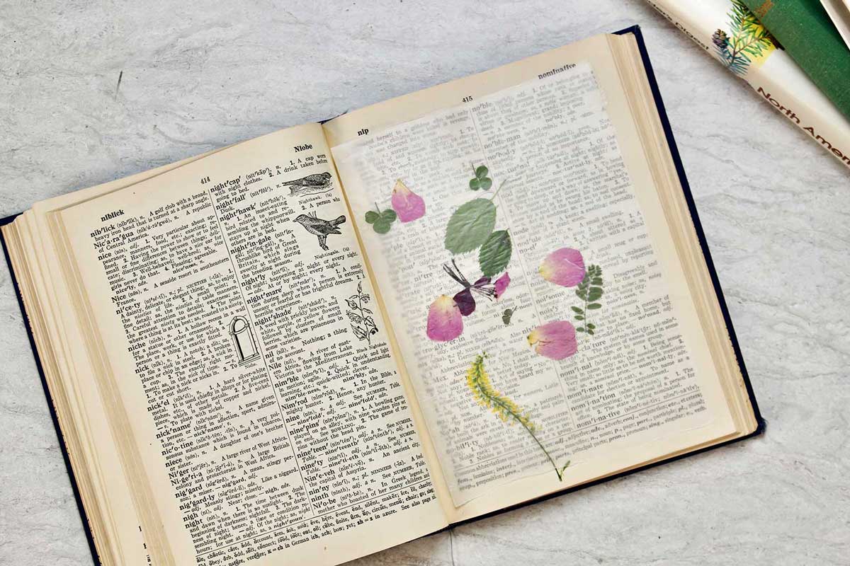 Opened dictionary with pressed flowers resting on a piece of wax paper.