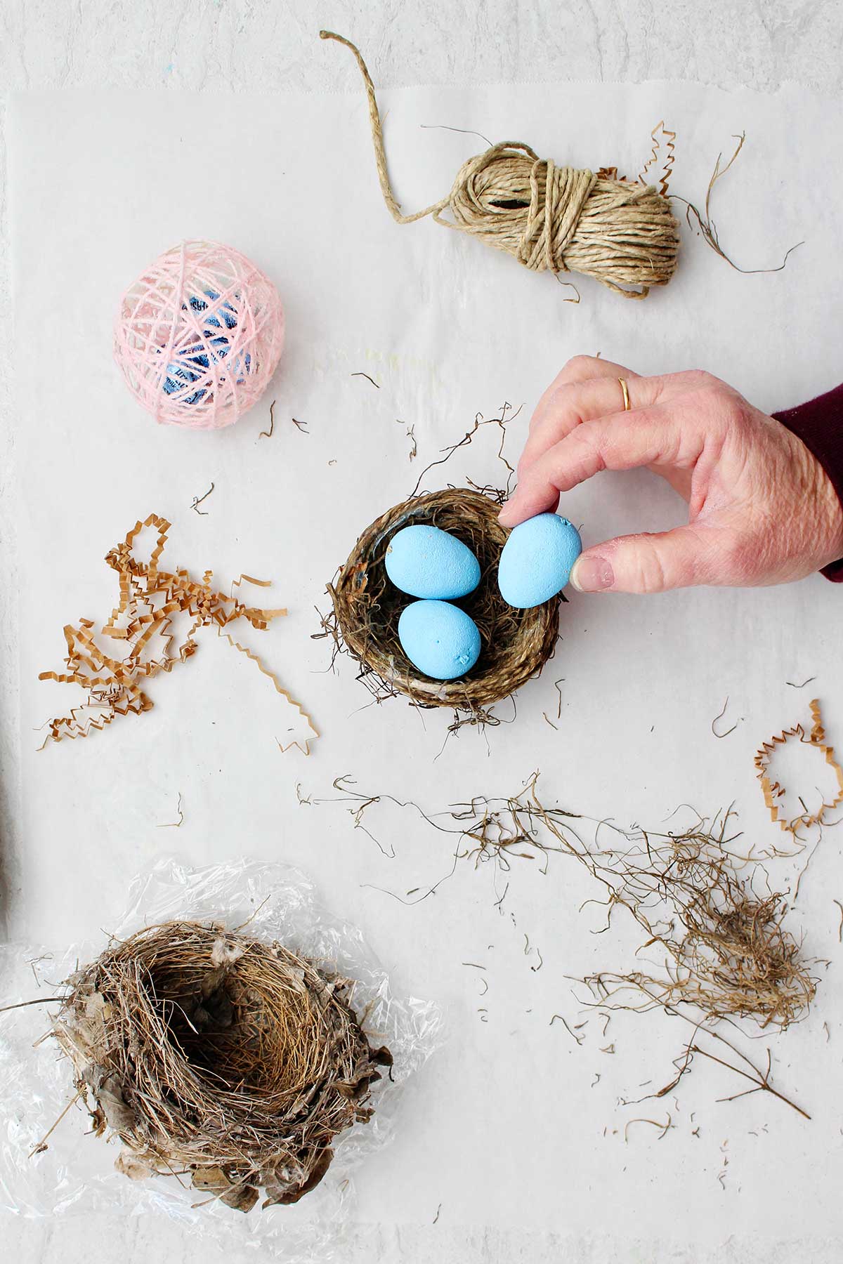 Hand placing a blue egg in the natural brown bird nest made of string.