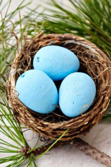 A natural bird nest out of string with three blue eggs inside with some evergreen branches in the background.