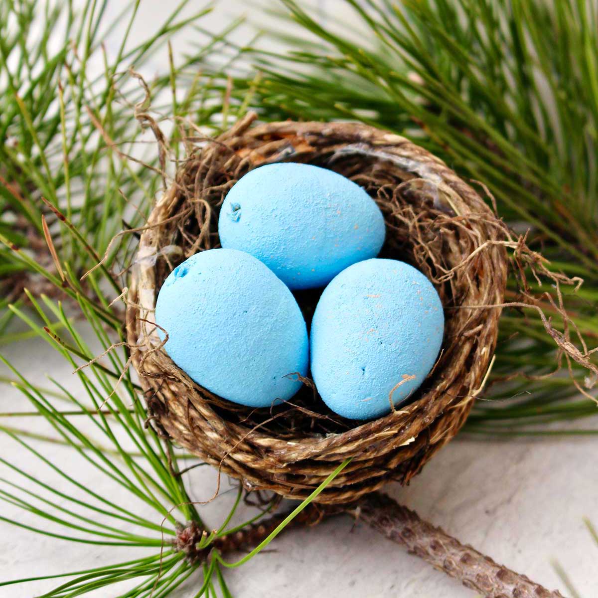 A natural bird nest out of string with three blue eggs inside with some evergreen branches in the background.
