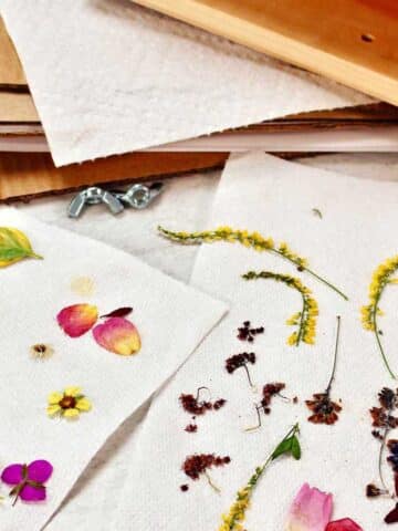 Flower press and two paper towels with pressed petals and flowers.