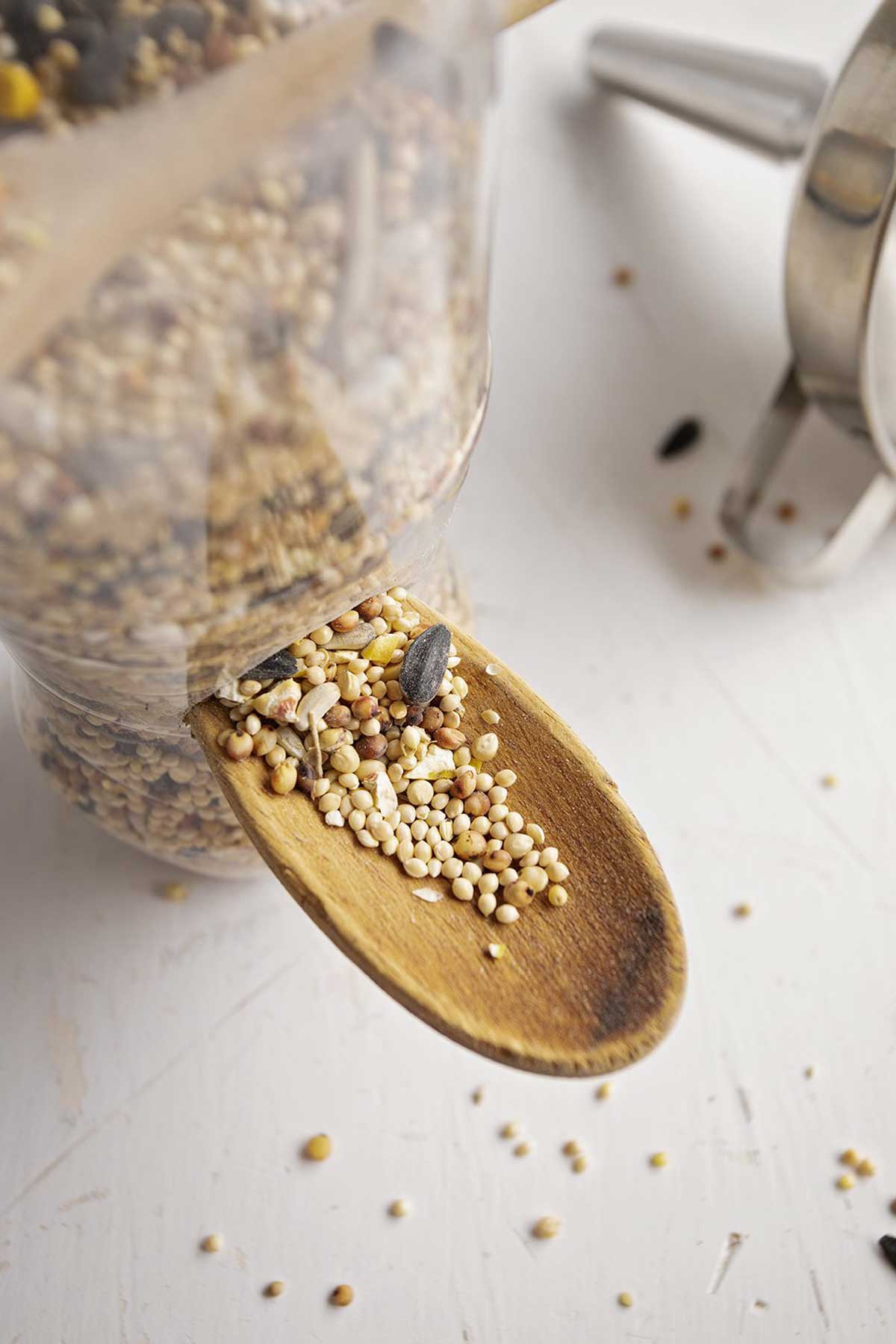 Bird seed falling onto a spoon from a plastic bottle bird feeder, a funnel in the background.