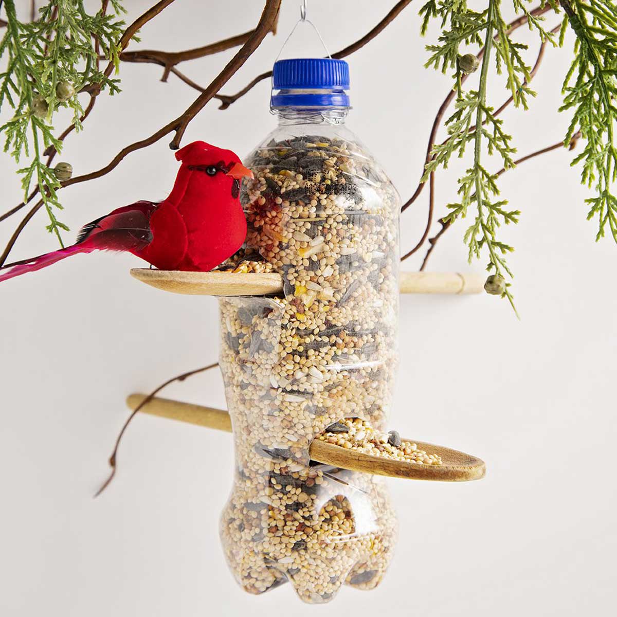 Recycled plastic bottle bird feeder filled with bird seed hanging from branches, and a red bird.