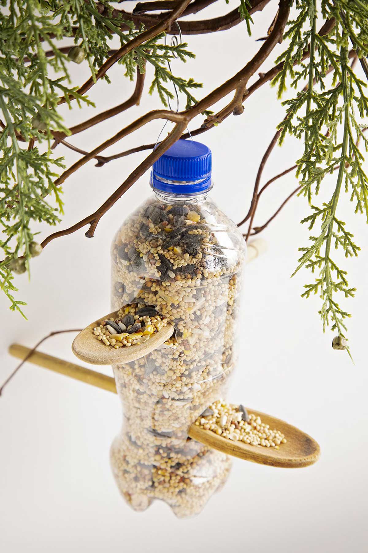Recycled plastic bottle bird feeder filled with bird seed hanging from branches.