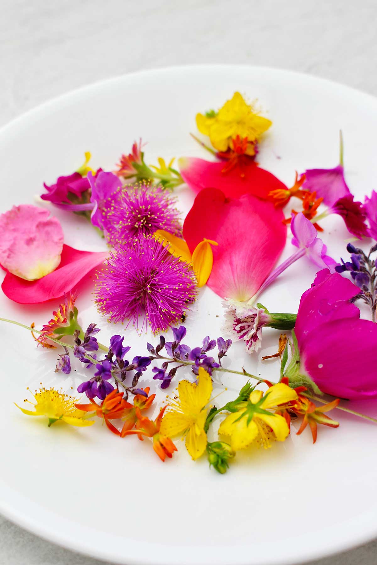 Close up view of plate of flower petals.