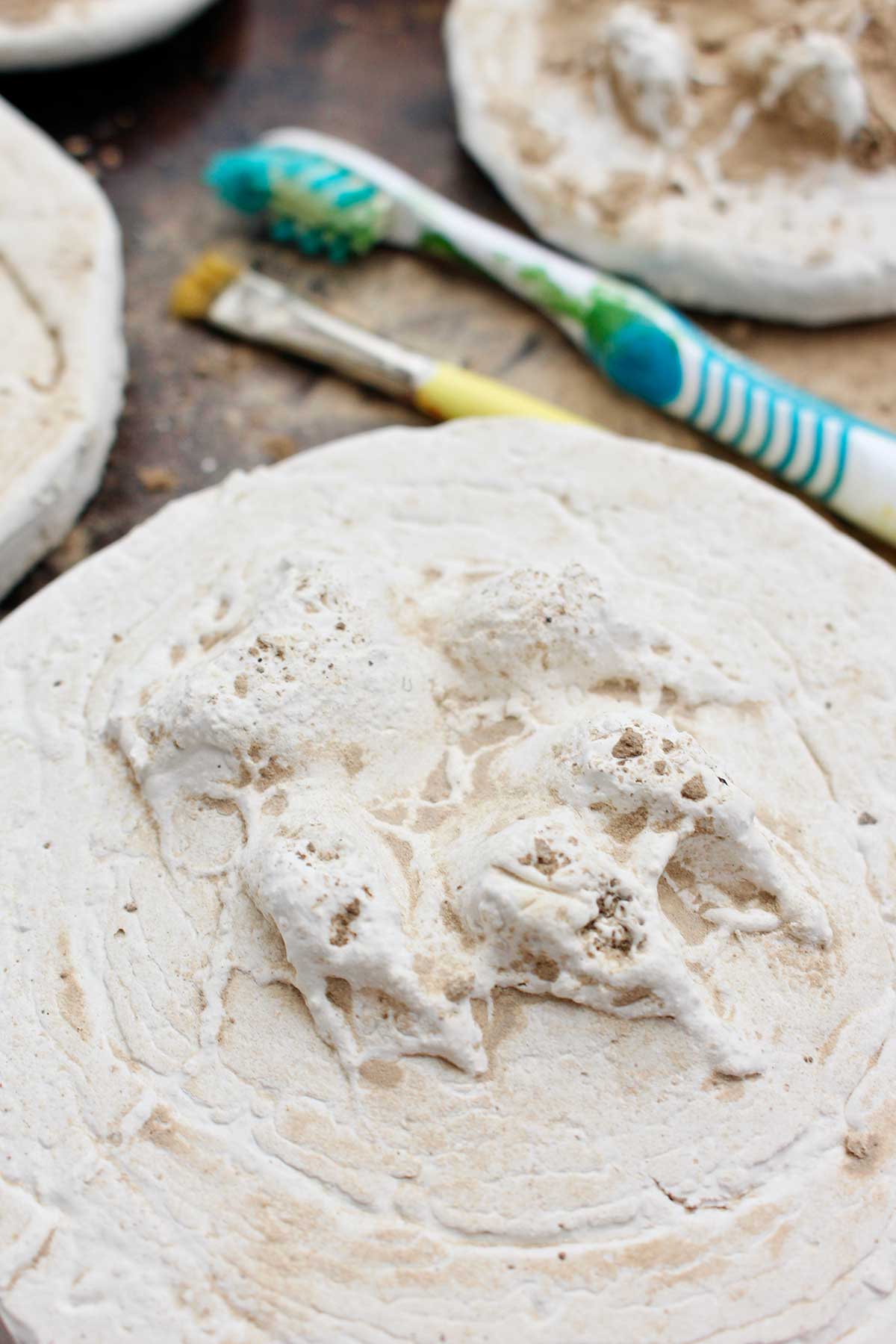 Close up view of a paw print in hardened plaster with a toothbrush in the background.